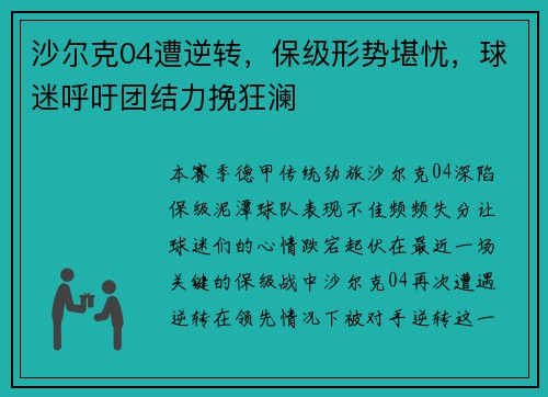 沙尔克04遭逆转，保级形势堪忧，球迷呼吁团结力挽狂澜