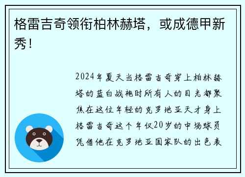 格雷吉奇领衔柏林赫塔，或成德甲新秀！