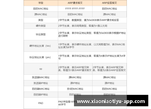 百视通NBA：全方位解析篮球世界